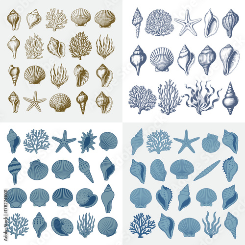 Sea shells vector collection vintage floral pattern illustration ornament design set decor elements