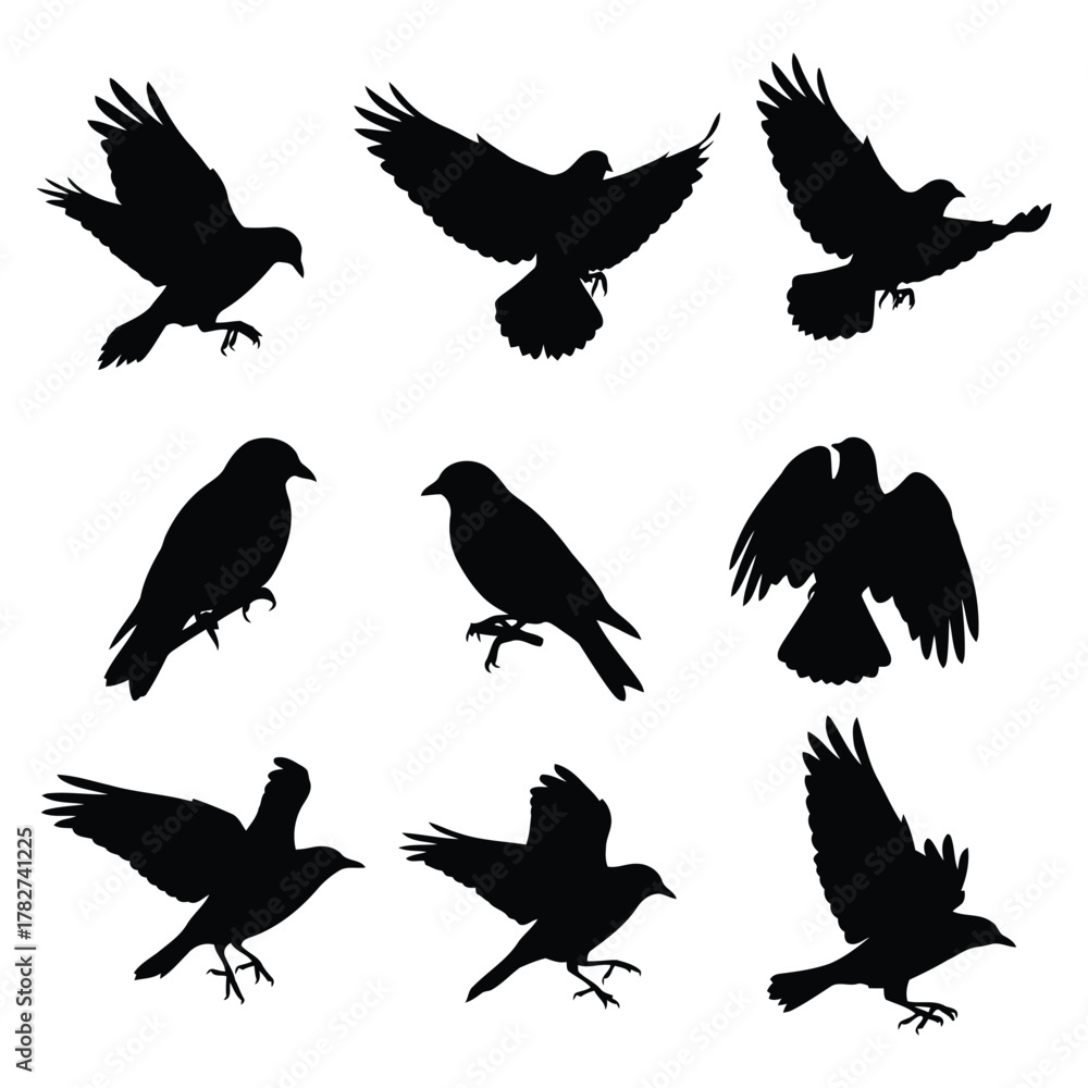 Fototapeta premium Collection of black bird silhouettes in various flying and perched poses