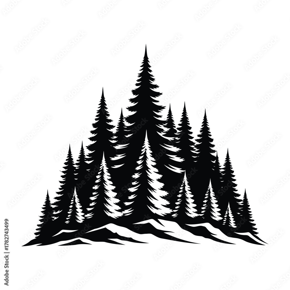 Fototapeta premium Silhouette of a dense forest of pine trees