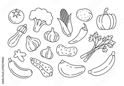 Hand drawn vegetables healthy organic food illustration