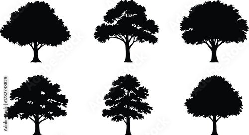 Tree silhouette collection, black tree shapes, botanical illustration, nature design elements, forest icons, landscape art, diverse tree forms, vector set