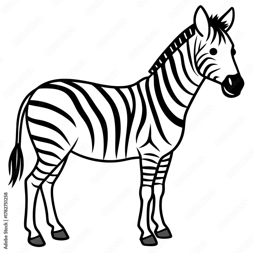 Fototapeta premium Clean Zebra Vector 