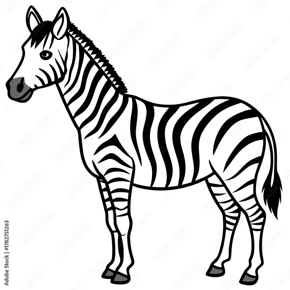 Fototapeta premium Clean Zebra Vector 
