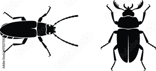 Beetle silhouette, insect vector, stag beetle, bug illustration, black outline, entomology graphic, creepy crawly, nature clipart, wildlife icon, beetle comparison, insect anatomy, bug species, 