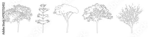 Architectural CAD Tree Symbols, Minimal Line Drawings for Site and Floor Plans