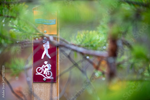 Wooden marker post in a misty forest showing symbols for hiking, cycling, and water routes (canoeing, kayaking), indicating a multi-use outdoor trail.