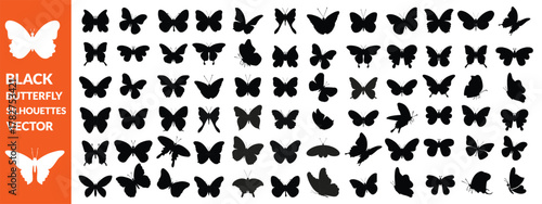 Black butterfly silhouettes. Outline butterflies romantic tattoo, tropical insects stencil. Summer and spring exotic symbols isolated vector set. Elegant wild flying moth of various shapes , big set 