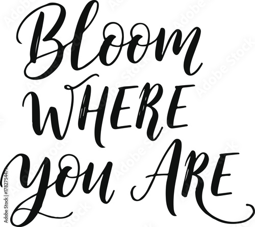 Bloom Where you Are inspirational quote in elegant calligraphy script.