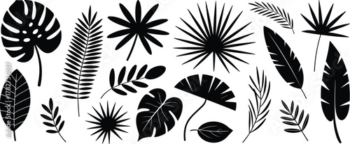 Leaf silhouettes, tropical foliage, botanical vector set, black plant shapes, nature icons, jungle leaves, design elements, illustration, flora, graphic