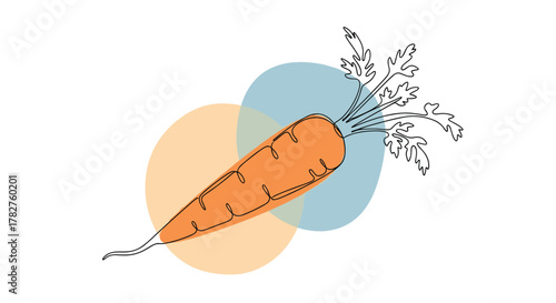 Simple continuous one-line drawing of a fresh orange carrot with green tops, complemented by abstract circular color shapes.