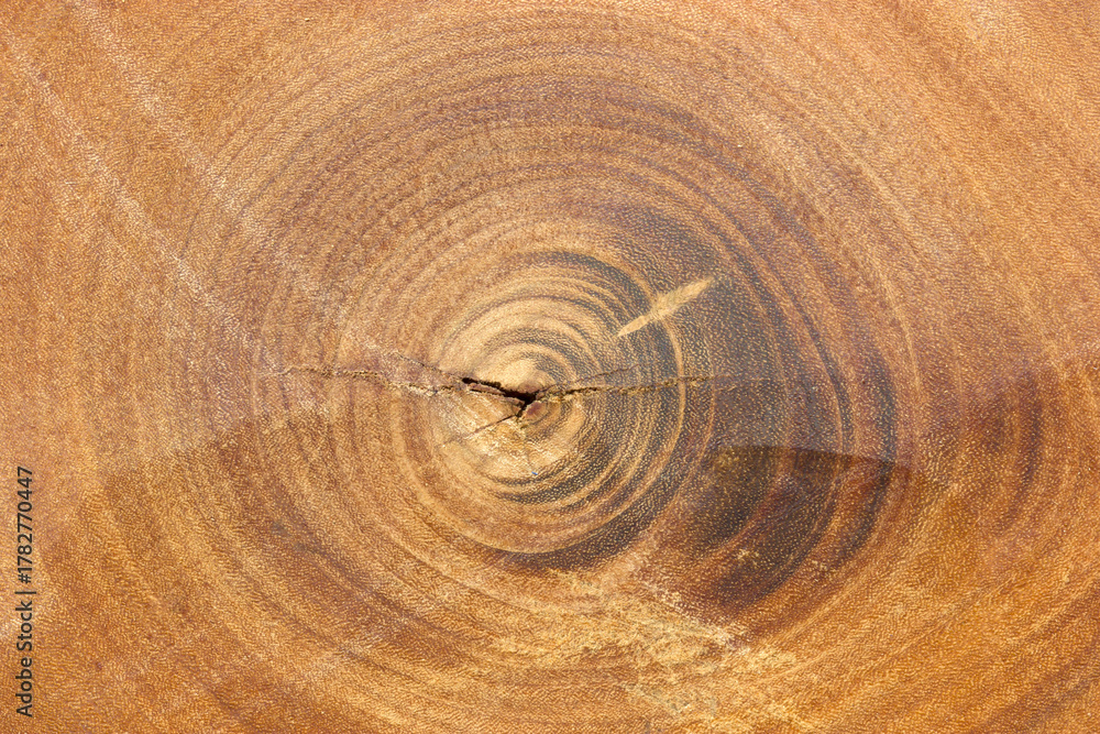 Naklejka premium brown wooden texture