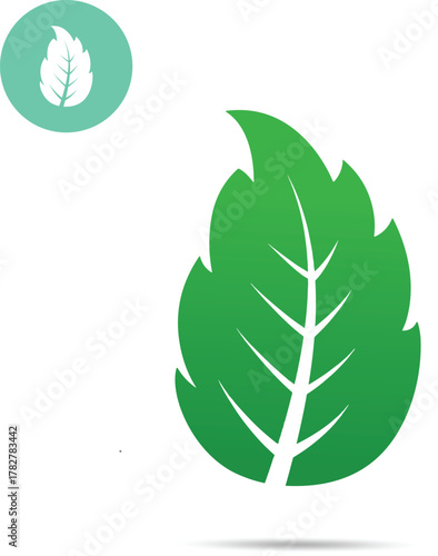 Mint leaf vector icon