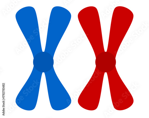 Colorful diagram illustrating homologous chromosomes undergoing genetic crossing over or recombination. Two X-shaped chromosomes with exchanged red and blue segments