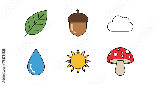 Cute nature elements vector illustration including leaf acorn cloud raindrop sun and mushroom drawing design
