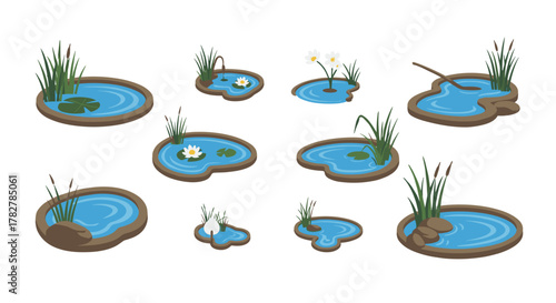 Collection of cartoon style ponds with aquatic plants for garden design and landscaping projects vector set