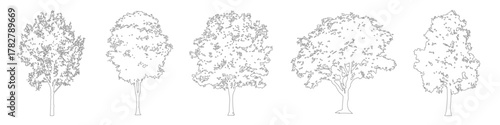 Architectural Tree Outline Collection, CAD Line Art Trees for Landscape Drawings