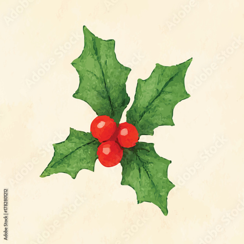 Holly berries watercolor with green leaves