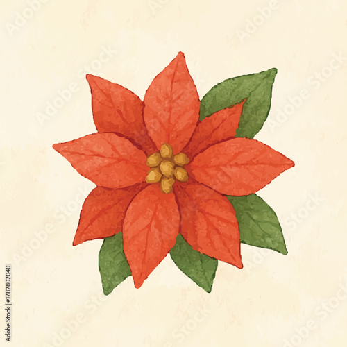 Watercolor red poinsettia christmas illustration