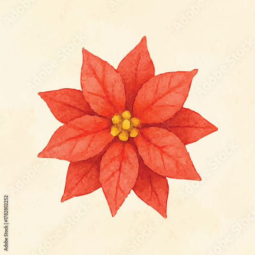 Poinsettia watercolor red christmas flower