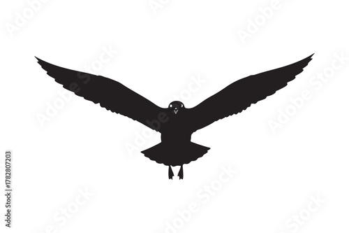Silhouette of a seagull in flight against a white background