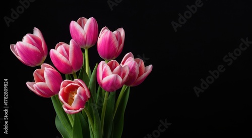 A vibrant bouquet of fresh, delicate pink tulips arranged beautifully, symbolizing springtime, joy, and tender affection ,isolated ,pastel ,gift