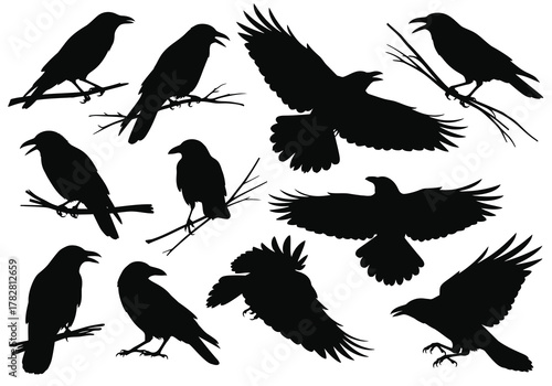 A collection of black raven silhouettes in various poses and flight