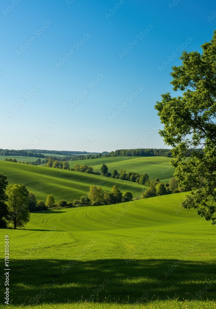 Naklejka premium A beautiful serene countryside vista featuring rolling green hills, cultivated fields, and abundant deciduous trees under a clear blue sky, serene, cultivation, outdoor