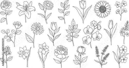 seamless pattern with flowers