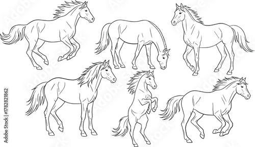 Collection of horse illustrations isolated on white background