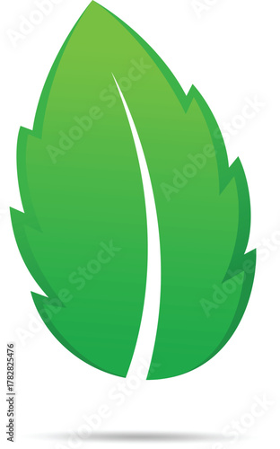 Mint leaf vector icon