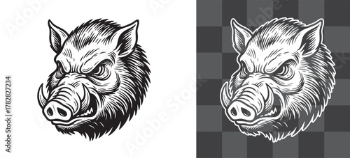 Vintage vector engraving illustration of wild boar head with bristled fur and tusks in monochrome and outline styles isolated on transparent background, detailed animal artwork for design projects
