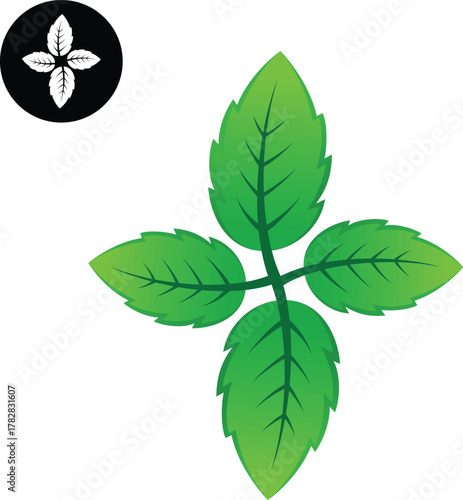 4 Mint leaf vector icon