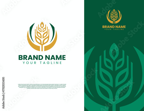 abstract illustration design of wheat or rice logo