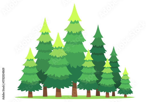 Stylized evergreen forest grove with fir and pine trees, isolated on a white background as a vector graphic design element