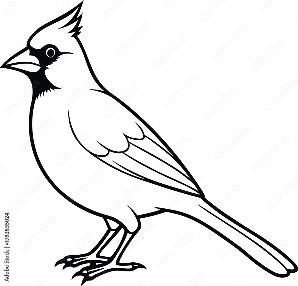 Obraz premium Cardinal Bird Standing In Profile Elegant Nature Artwork line art one line art
