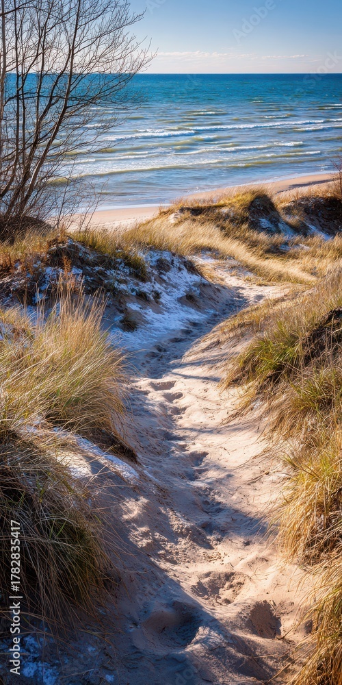 Fototapeta premium Sunlit Pathway Through Dunes Leading to Lake Michigan at Kohler Andrae State Park, Wisconsin