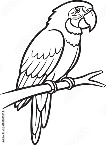 Parrot Bird Outline Elegant Exotic Tropical Nature Design line art one line art