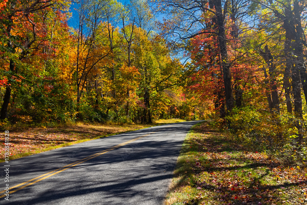 Obraz premium Winding autumn road on Blue Ridge Parkway surrounded by colorful fall foliage