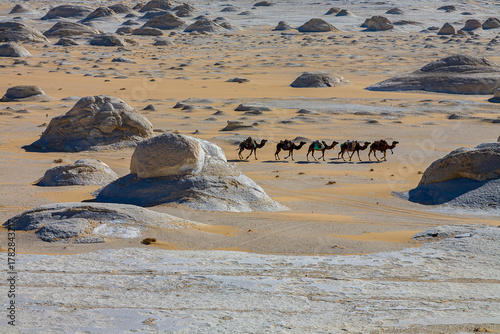 Caravane dans le désert Blanc, Égypte