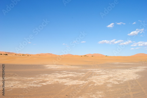 A desert landscape with a blue sky and footprints in the sand