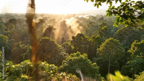 Golden light weaves through the mystical mist of an ancient forest, revealing the intricate natural design of earth's vast wild heart