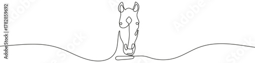 Horse in one line art style. Horse head drawing with editable black stroke on white background. Vector illustration.