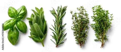 Fresh herbs basil, sage, rosemary, and two thyme bunches