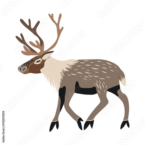 Vector illustration of a reindeer, stylized graphic drawing.