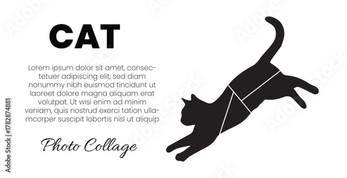 Playful cat silhouette photo collage for a stylish pet poster design