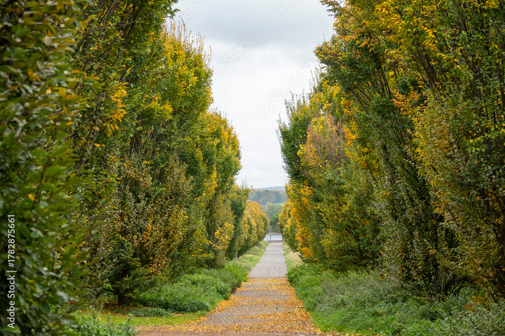 Naklejka premium Footpath and cycle path Seepark Zülpich, Germany