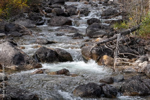 Mountain stream flows over large, smooth, dark rocks. The water is clear, creating white foam as it cascades, surrounded by sparse vegetation and dry branches. The scene captures natural beauty
