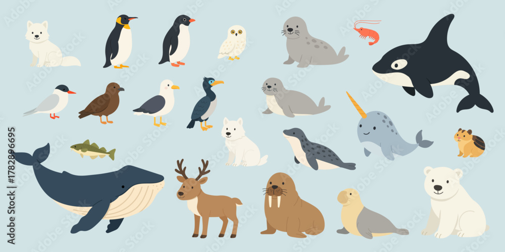Obraz premium Collection of Arctic and Antarctic animals in cute flat style, featuring fox, wolf, bear, penguin, seal, whale, walrus, narwhal, tern, owl, and more polar species symbolizing cold harmony of nature.