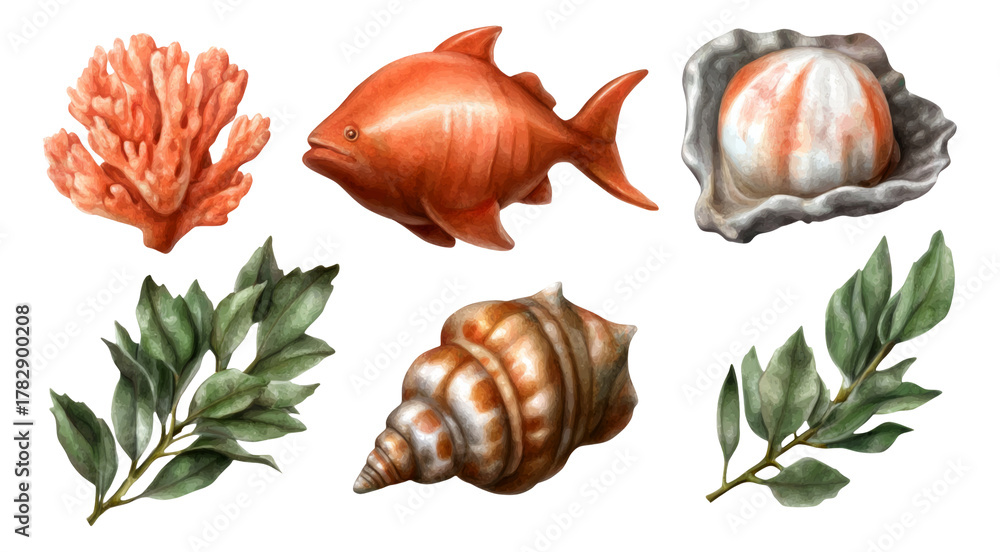 Obraz premium Detailed Collection of Marine Elements Including Fish, Coral, and Shells on Transparent Background