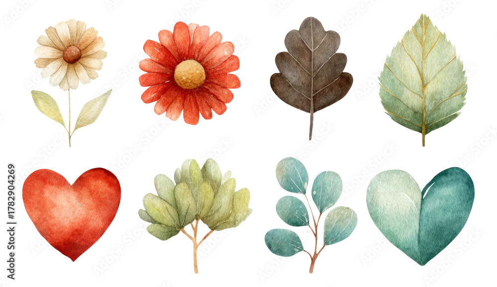 Fototapeta premium Watercolor Flowers and Leaves Collection on Transparent Background Isolated